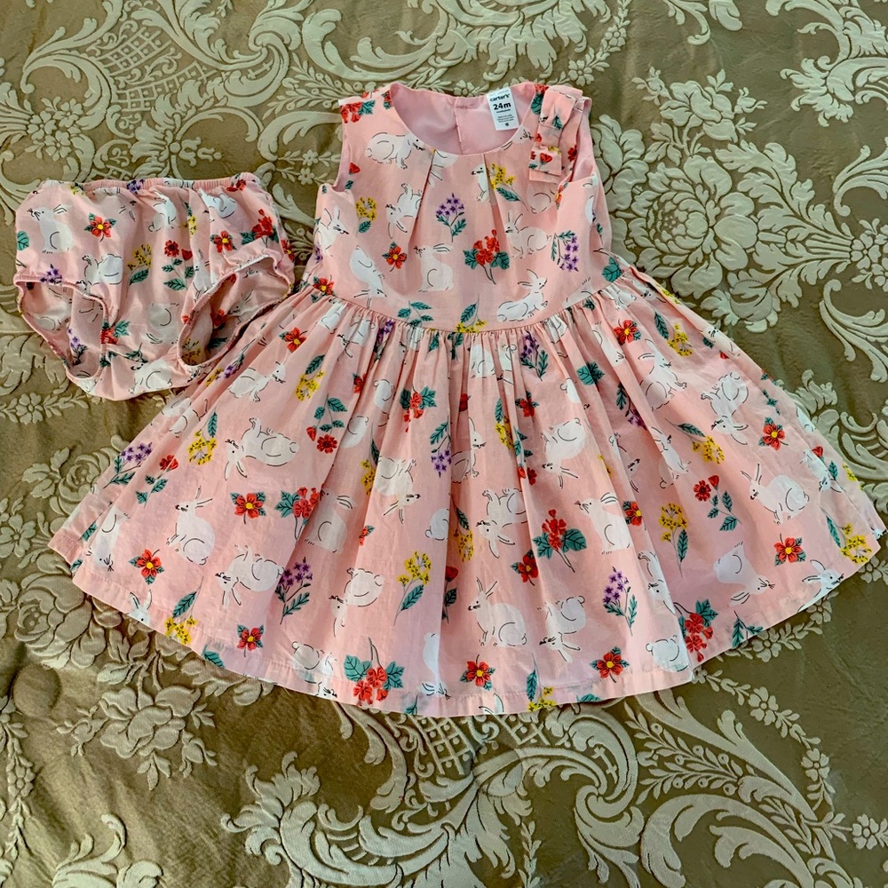 Like new Carter’s Dress